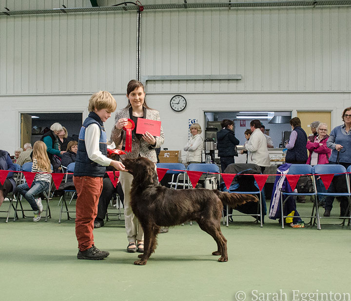 Breed show 11