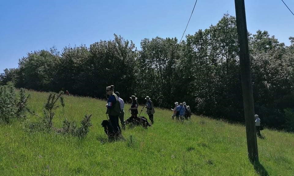Introduction to Field Trials Training Day Flatcoated Retriever Society
