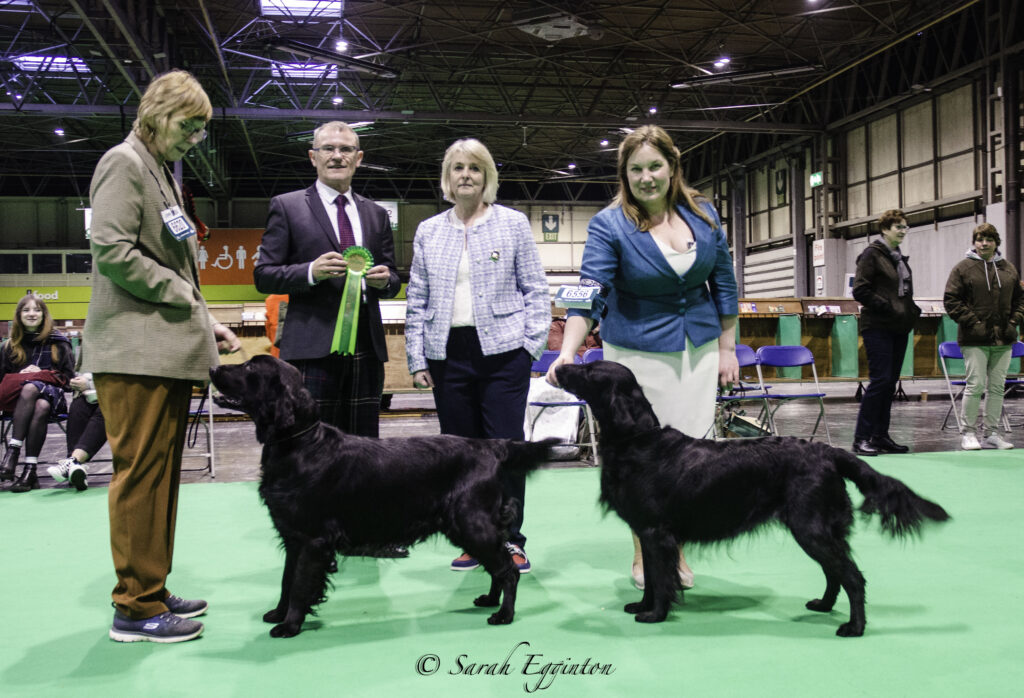  Crufts 2024 - Flatcoated Retriever Society Motiv 
